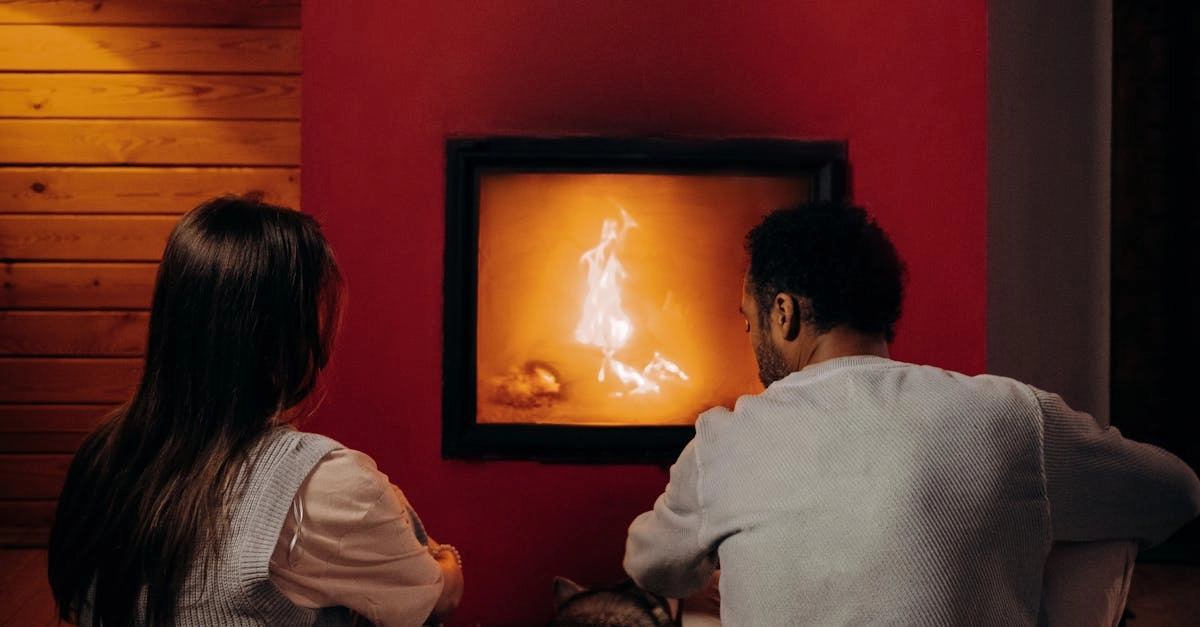 Дипломатический анализ слота The Dog House Megaways