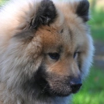 Программы лояльности казино без депозита и бонусные предложения